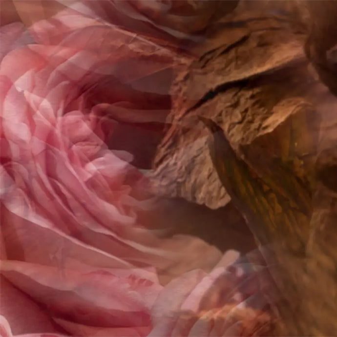 Carparfum Scented Refill〈カーパルファム リフィル〉 ROSA TABACCO