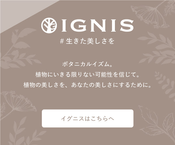 イグニスはこちらへ