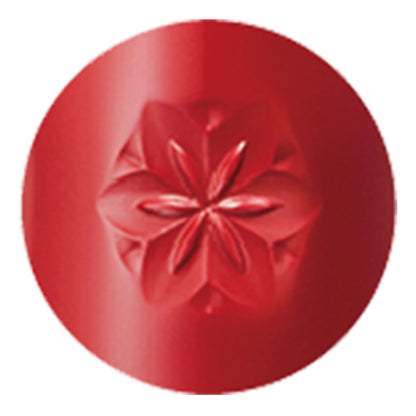 AQ リップスティック 14 Tomato Red